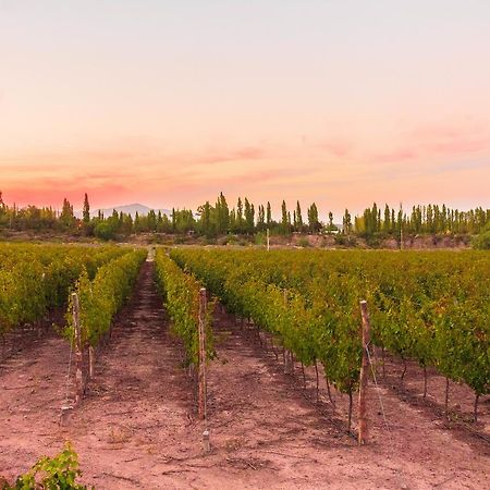 Marale Wines Hotel Boutique Villa Media Agua Екстериор снимка