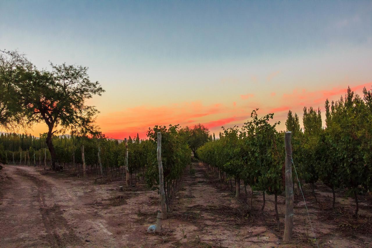 Marale Wines Hotel Boutique Villa Media Agua Екстериор снимка