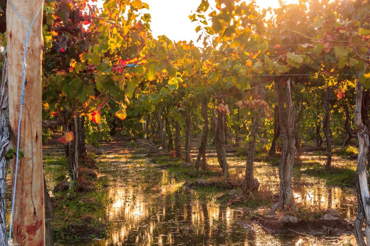 Marale Wines Hotel Boutique Villa Media Agua Екстериор снимка
